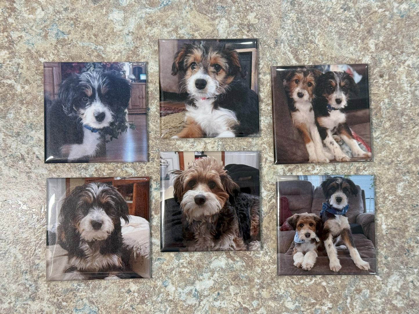 Square Custom Photo Magnets (Set of 6)