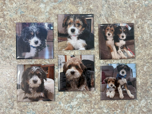 Square Custom Photo Magnets (Set of 6)