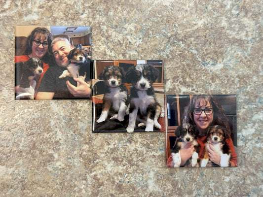 Square Custom Photo Magnets (Set of 3)